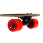 Nils Extreme Longboard Wood Homeland, rullalauta 104 cm hinta ja tiedot | Skeittilaudat | hobbyhall.fi