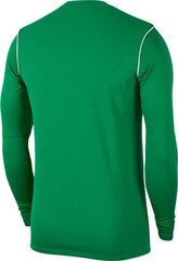 Nike JR Park 20 -T-paita, vihreä hinta ja tiedot | Nike Jalkapallo | hobbyhall.fi