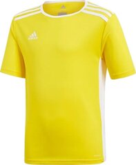 Adidas TeamWear -T-paita, keltainen hinta ja tiedot | Jalkapallovaatteet ja -varusteet | hobbyhall.fi
