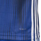 Adidas Tiro 19 Jersey JUNIOR -T-paita lapsille, sininen, DP3532/DP3179 hinta ja tiedot | Jalkapallovaatteet ja -varusteet | hobbyhall.fi