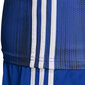 Adidas Tiro 19 Jersey JUNIOR -T-paita lapsille, sininen, DP3532/DP3179 hinta ja tiedot | Jalkapallovaatteet ja -varusteet | hobbyhall.fi