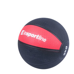 inSPORTline MB63 harjoituspallo hinta ja tiedot | Insportline Kuntoiluvälineet | hobbyhall.fi