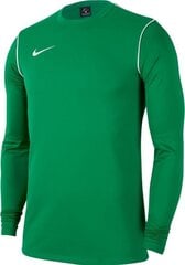 Nike Park 20 -paita, vihreä hinta ja tiedot | Nike Jalkapallo | hobbyhall.fi