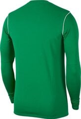 Nike Park 20 -paita, vihreä hinta ja tiedot | Jalkapallovaatteet ja -varusteet | hobbyhall.fi