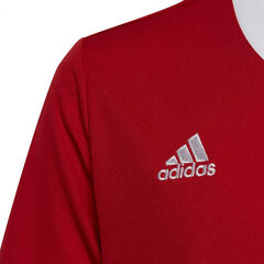 Lasten T-paita Adidas Entrada 22 Jsy H57496, punainen hinta ja tiedot | Jalkapallovaatteet ja -varusteet | hobbyhall.fi