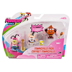 POWER PUFF GIRLS setti Townsville Doll, 3pcs. hinta ja tiedot | Tyttöjen lelut | hobbyhall.fi