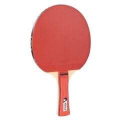 Pöytätennismaila Joola hinta ja tiedot | Pingismailat | hobbyhall.fi