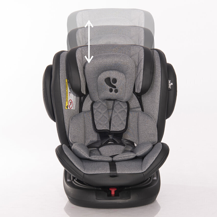 Turvaistuin Lorelli Aviator Isofix, 0-36 kg, Beige hinta ja tiedot | Turvaistuimet | hobbyhall.fi