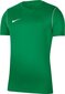T-paita Nike JR Park 20, vihreä hinta ja tiedot | Jalkapallovaatteet ja -varusteet | hobbyhall.fi