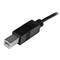 Startech USB2CB2M, USB C /USB B, 2 m hinta ja tiedot | Kaapelit ja adapterit | hobbyhall.fi