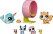 LITTLEST PET SHOP Eläinsairaala hinta ja tiedot | Tyttöjen lelut | hobbyhall.fi