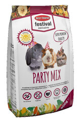 BF jyrsijöiden ruoka Festival Excl.party mix, 900 g hinta ja tiedot | Pieneläinten ruoat | hobbyhall.fi