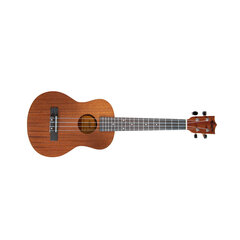 Airersi Ukulele setti SU-026B hinta ja tiedot | Kitarat | hobbyhall.fi