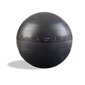 Pure2improve jumppapallo pumpulla, 65cm hinta ja tiedot | Voimistelupallot | hobbyhall.fi