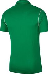 Pusero Nike Park 20, vihreä hinta ja tiedot | Jalkapallovaatteet ja -varusteet | hobbyhall.fi