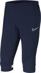 Housut Nike Dry Academy, sininen hinta ja tiedot | Nike Urheiluvälineet | hobbyhall.fi