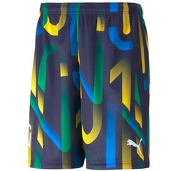 Miesten urheiluhousut Puma Neymar Jr. Future Printed Short M 605552-06, eri värejä hinta ja tiedot | Puma Urheilu ja vapaa-aika | hobbyhall.fi