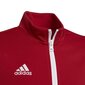 Lasten pusero Adidas Entrada 22, punainen hinta ja tiedot | Jalkapallovaatteet ja -varusteet | hobbyhall.fi