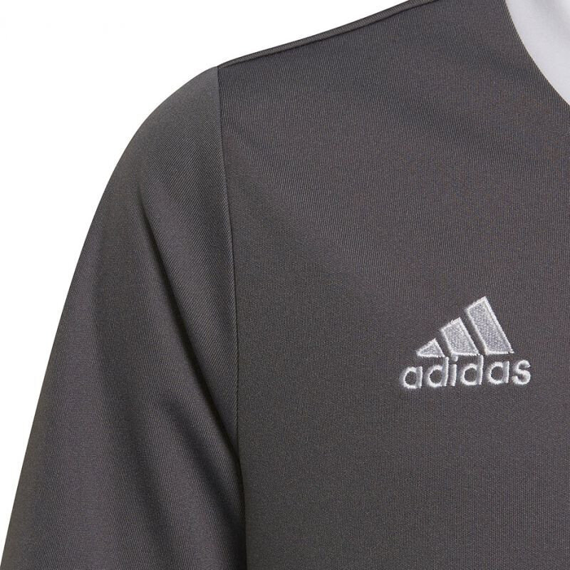 Lasten T-paita Adidas Entrada 22, harmaa hinta ja tiedot | Jalkapallovaatteet ja -varusteet | hobbyhall.fi