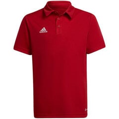 Polo lasten T-paita Adidas Entrada 22, punainen hinta ja tiedot | Jalkapallovaatteet ja -varusteet | hobbyhall.fi