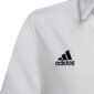 Polo lasten T-paita Adidas Entrada 22, valkoinen hinta ja tiedot | Jalkapallovaatteet ja -varusteet | hobbyhall.fi
