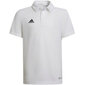 Polo lasten T-paita Adidas Entrada 22, valkoinen hinta ja tiedot | Jalkapallovaatteet ja -varusteet | hobbyhall.fi