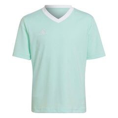 Lasten T-paita Adidas Entrada 22 Jersey HC5078, mintunvihreä hinta ja tiedot | Jalkapallovaatteet ja -varusteet | hobbyhall.fi