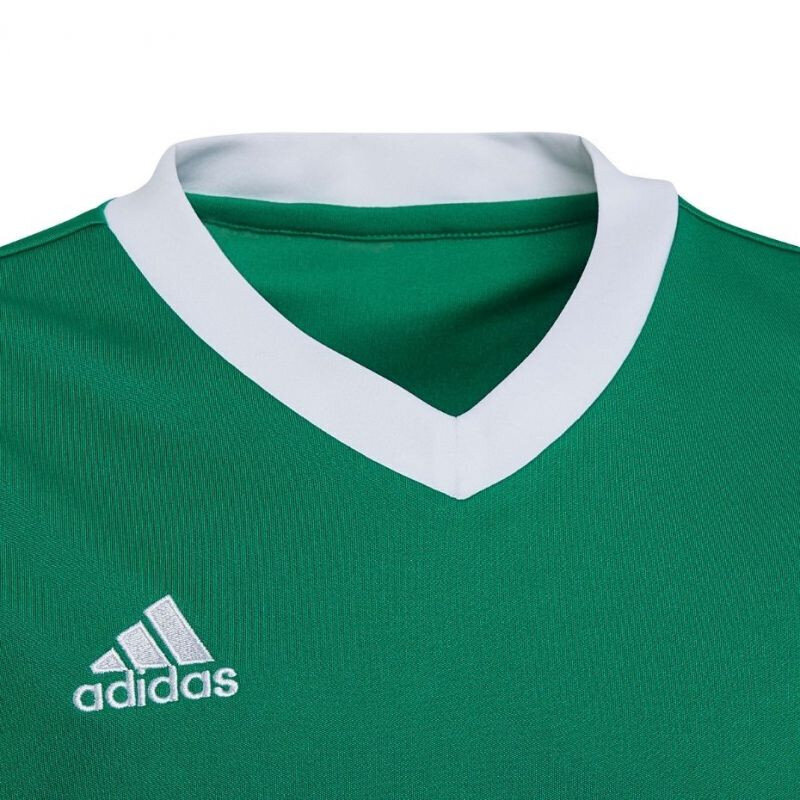 Lasten T-paita Adidas Entrada 22 Jersey HI2126, vihreä hinta ja tiedot | Jalkapallovaatteet ja -varusteet | hobbyhall.fi