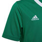 Lasten T-paita Adidas Entrada 22 Jersey HI2126, vihreä hinta ja tiedot | Jalkapallovaatteet ja -varusteet | hobbyhall.fi