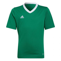 Lasten T-paita Adidas Entrada 22 Jersey HI2126, vihreä hinta ja tiedot | Jalkapallovaatteet ja -varusteet | hobbyhall.fi