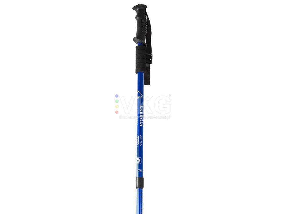 Kävelysauva Nordic Walking, sininen hinta ja tiedot | Kävelysauvat | hobbyhall.fi