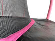 Trampoliini Lean Sport Max 366 cm, musta/pinkki hinta ja tiedot | Trampoliinit | hobbyhall.fi