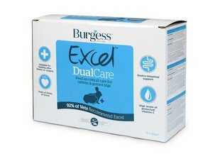 Burgess Excel ravintolisä kaneille ja marsuille Dualcare, 60 g, N10 hinta ja tiedot | Burgess Lemmikit | hobbyhall.fi