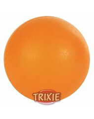 Raskas pallo Trixie, 5 cm hinta ja tiedot | Koiran lelut | hobbyhall.fi