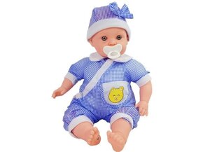 Nukkevauva Baby Kid 45 cm, sininen hinta ja tiedot | Tyttöjen lelut | hobbyhall.fi