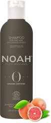 Noah Origins, Volyymia lisäävä shampoo ohuille hiuksille, 250 ml hinta ja tiedot | Shampoot | hobbyhall.fi