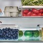 Orplast ruoan säilytysastia Antibakteerinen, 500 ml hinta ja tiedot | Elintarvikkeiden säilytysastiat | hobbyhall.fi