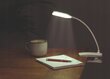 Kannettavan tietokoneen pöytä LED-valaisimella hinta ja tiedot | Tietokonepöydät ja työpöydät | hobbyhall.fi