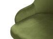 Cosmopolitan Design Malaga, vaalean vihreän värinen tuoli hinta ja tiedot | Ruokapöydän tuolit | hobbyhall.fi