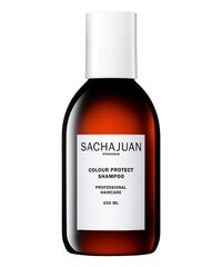 Sachajuan Color Protect -shampoo värjätyille hiuksille, 250 ml hinta ja tiedot | Shampoot | hobbyhall.fi