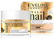 Anti Wrinkle Rejuvenating Face Cream Eveline Cosmetics Royal Snail 40+ 50 ml hinta ja tiedot | Kasvovoiteet | hobbyhall.fi