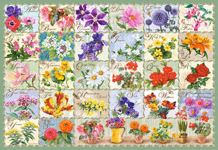 Palapeli Castorland Vintage Floral, 1000 kpl hinta ja tiedot | Castorland Lapset | hobbyhall.fi