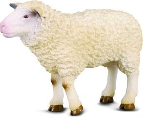 Shape Sheep Collecta (M) hinta ja tiedot | Collecta Lapset | hobbyhall.fi