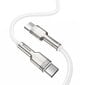 Kaapeli Baseus USB Type C - USB Type C 100 W 1 m 20210316150659 hinta ja tiedot | Puhelinkaapelit | hobbyhall.fi