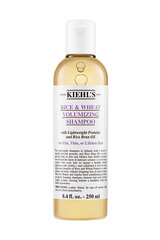 Kiehl's Rice & Wheat Volumizing shampoo, 500 ml hinta ja tiedot | Shampoot | hobbyhall.fi