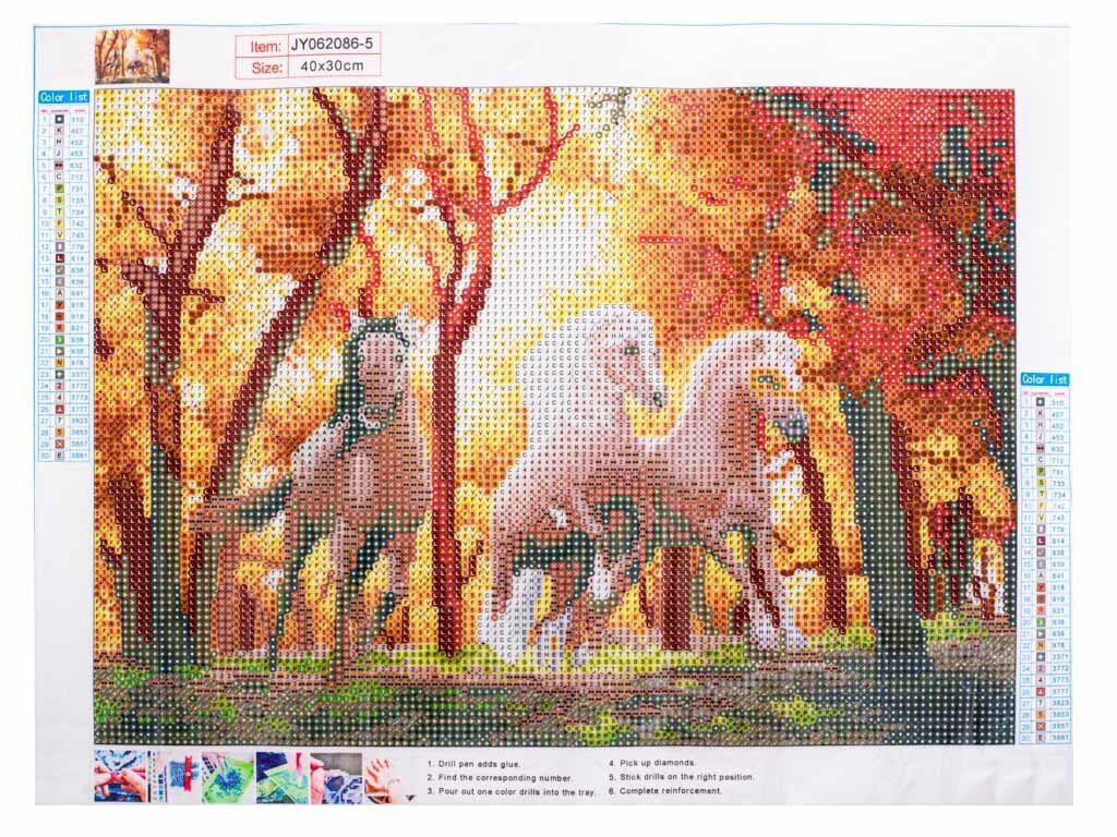 Mosaiikkisetti timanttikirjonnalla, 5D, juoksevat hevoset hinta ja tiedot | Tyttöjen lelut | hobbyhall.fi