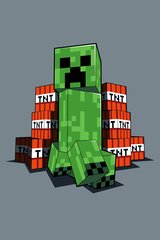 Minecraft TNT -lasten peitto, 100x150 cm hinta ja tiedot | Päiväpeitot ja huovat | hobbyhall.fi