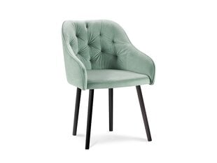 Micadoni Home Nissi, vaaleanvihreän värinen tuoli hinta ja tiedot | Ruokapöydän tuolit | hobbyhall.fi