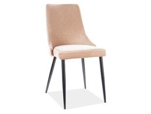 Signal Meble Piano B, vaalean harmaan värinen 2 tuolin setti hinta ja tiedot | Ruokapöydän tuolit | hobbyhall.fi