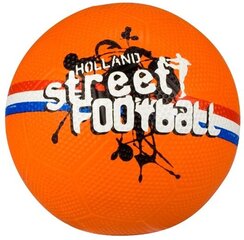 Jalkapallo Avento Holland-Brazil-World, koko 5, oranssi hinta ja tiedot | Jalkapallot | hobbyhall.fi